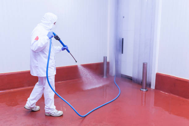Best Solar Panel Cleaning  in Diamond Bar, CA
